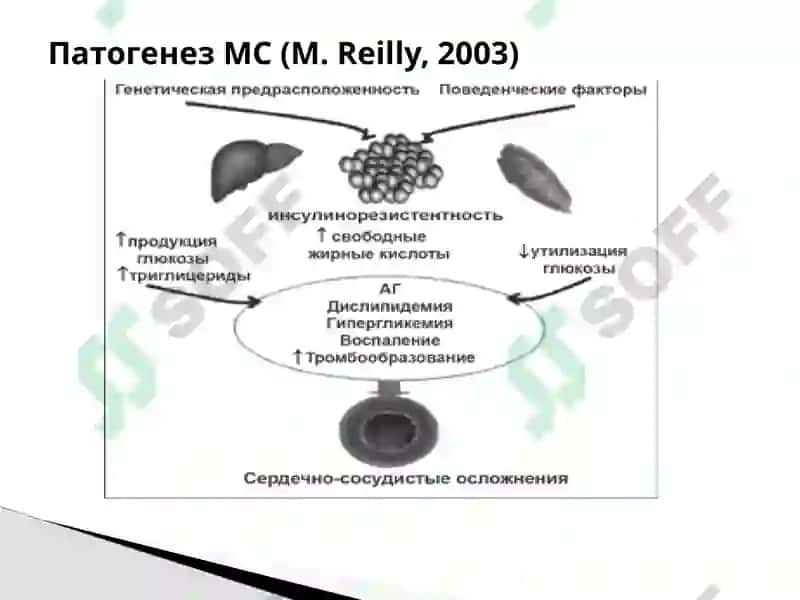 Метаболический синдром 8