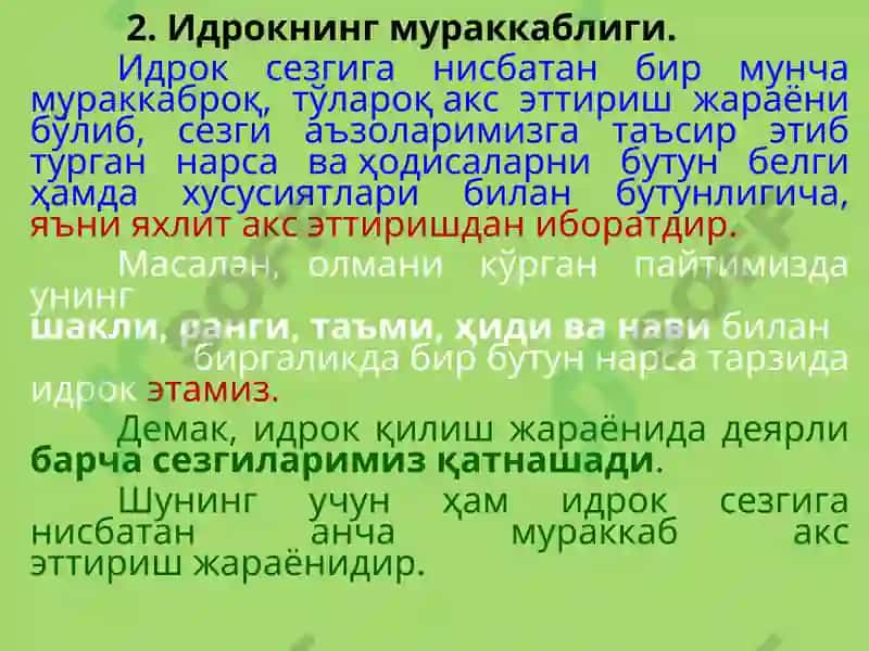 Идрок 8