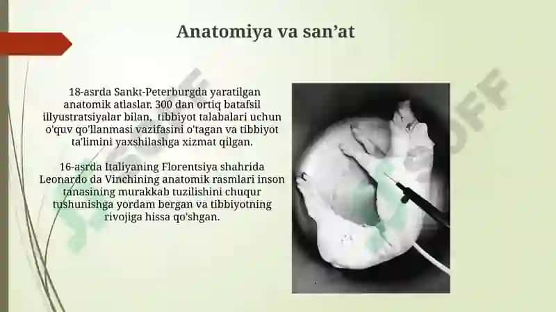 Tibbiyot va sanʼatning bir-biriga bogʻliqligi 8