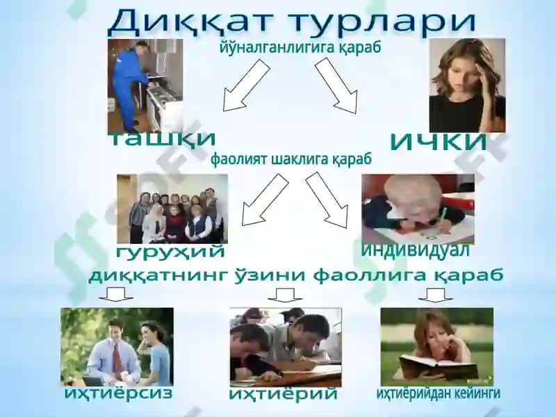 Diqqat 8