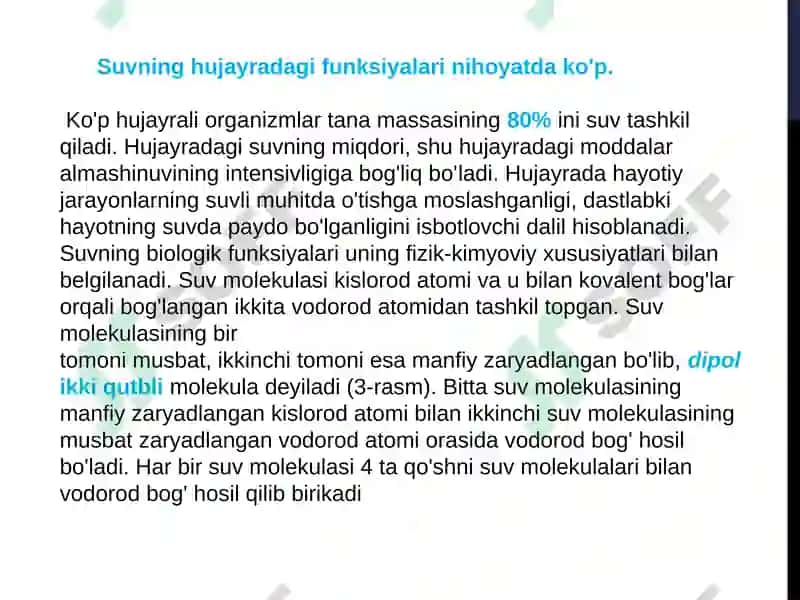 Akademik litseyni biologiya fanio’qituvchisi 8