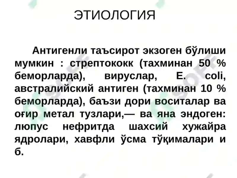 ГЛОМЕРУЛОНЕФРИТ 8