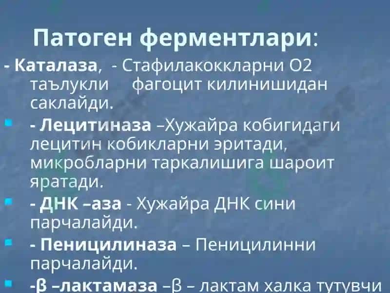 Йирингли яллиғланиш жараёнларини келтириб чиқарувчи микроорганизимлар. 8