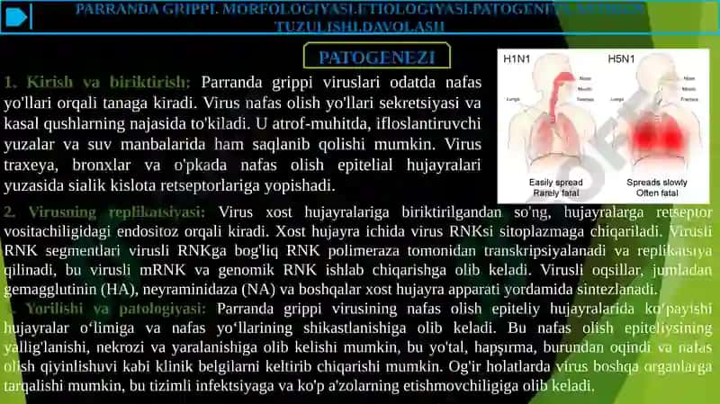 PARRANDA GRIPPI 8
