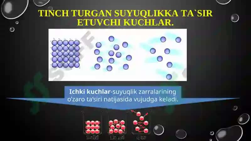 Gidrostatika 8