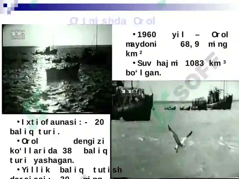 OROL BO‘YI HUDUDIDAGI EKOLOGIK MUAMMOLAR 8