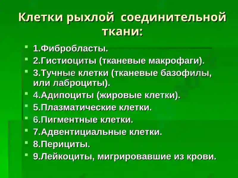 Лекция: «Собственно соединительные ткани. Соединительные ткани со специальными свойствами».Доцент Курумчина С.Г. 8