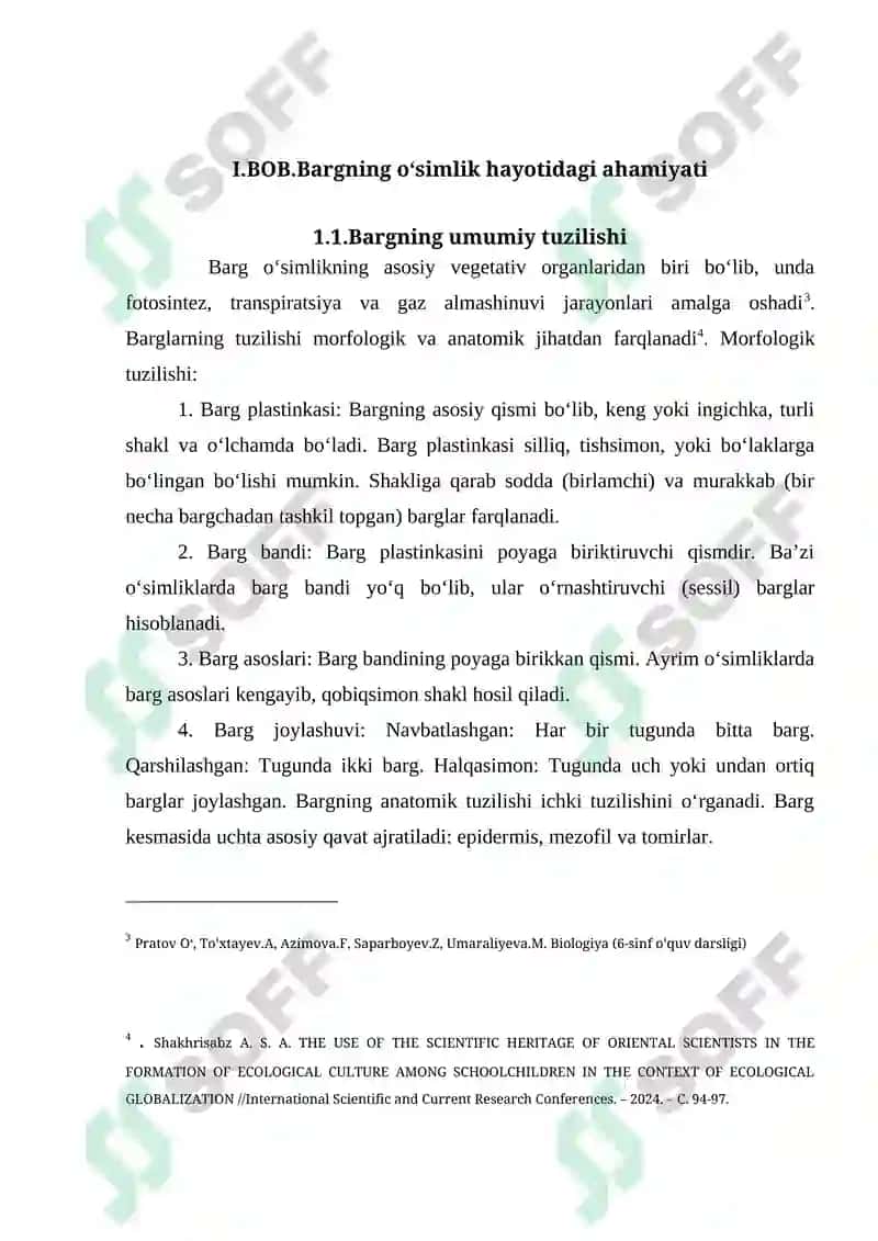 Barg Anatomiyasi 8