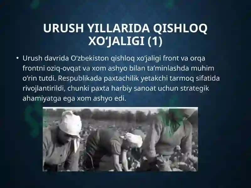 Urush yillarida Oʻzbekiston 8