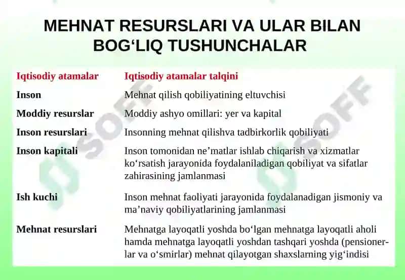 Korxonaning mehnat resurslari 8