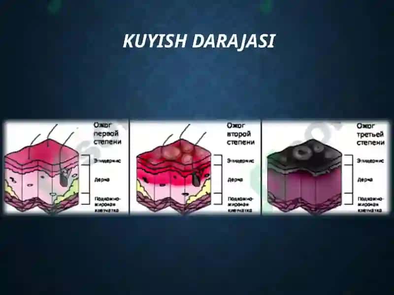 TTATfpediatriya603 A 8