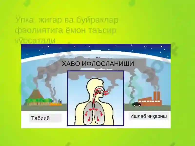 Ekologiya-haqida-tushuncha 8