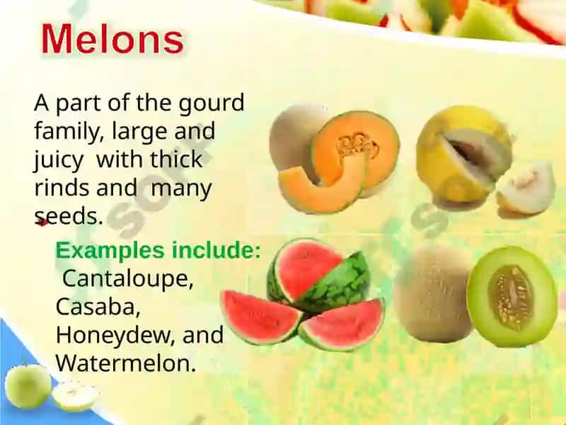 Fruits Classification 8