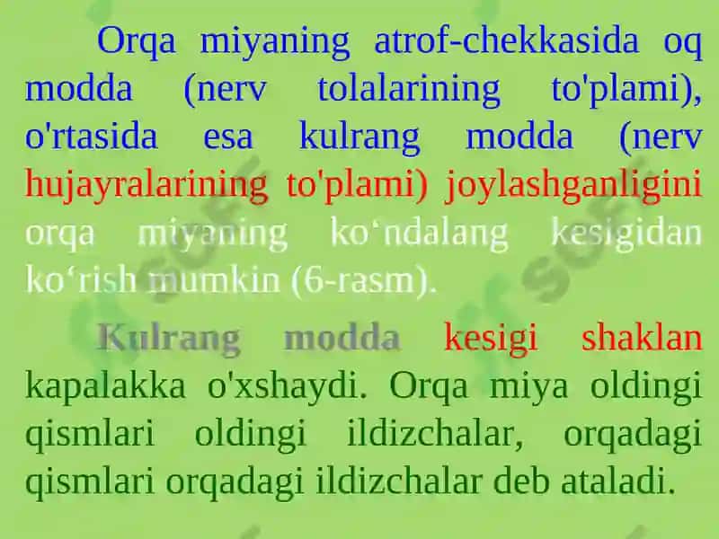 PSIXIKANING NERV-FIZIOLOGIK ASOSLARI 8