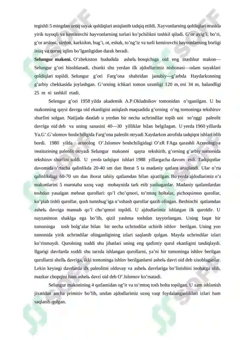 Paleolit davri xususiyatlari 8
