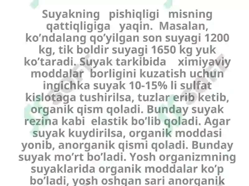 Osteologiya: Skеlet sistеmаsini umumiy tа’rifi 8