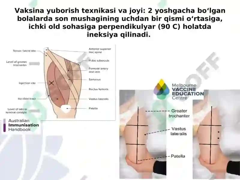 Vaksinatsiya 8