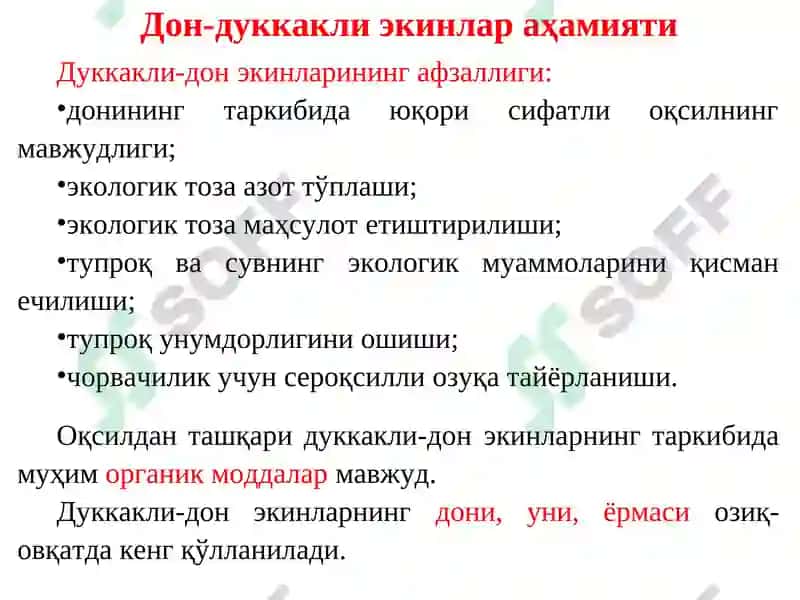 ДОН-ДУККАКЛИ ЭКИНЛАРНИНГ УМУМИЙ ТАВСИФИ ВА БИОЛОГИЯСИ 8