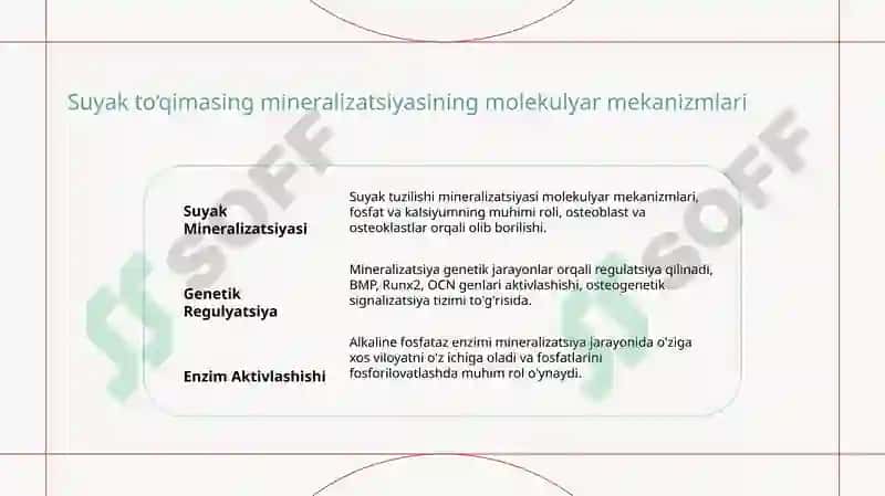 Tog‘ay to‘qimasining regeneratsiyasi va transplantatsiyasi.Suyak to‘qimasing minerallashuvi,uning tartibga solinishi va buzilishlari. Suyakning o‘sishiga tasir qiluvchi omillar 8