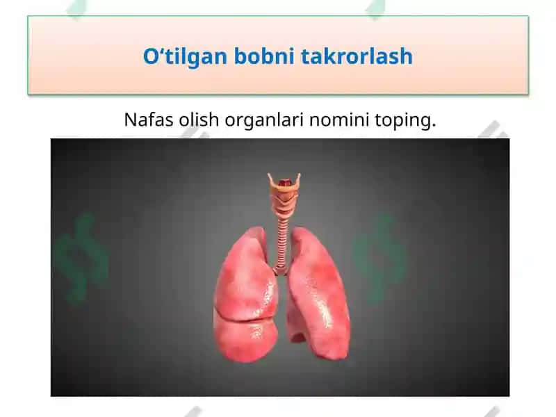 Iqlim 8