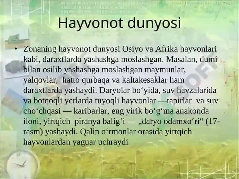 Janubiy Amerikaning tabiat zonalari va balandlik mintaqalari 8