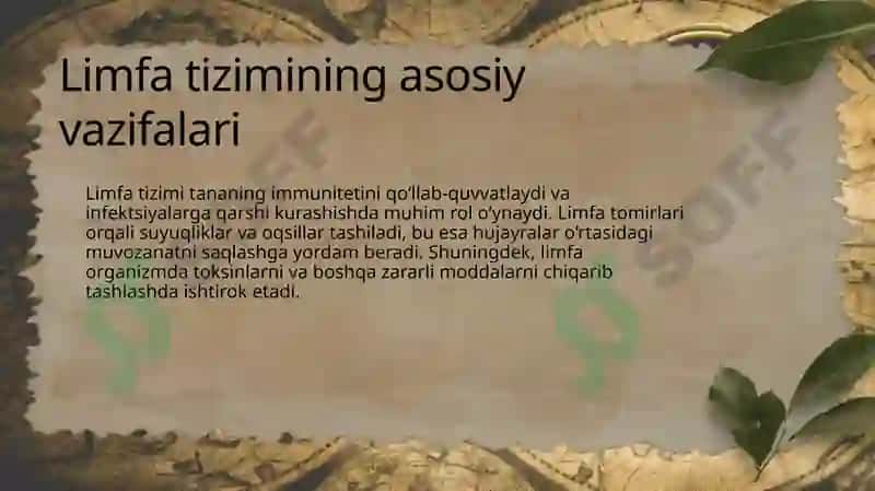 Limfa va uning harakati 8