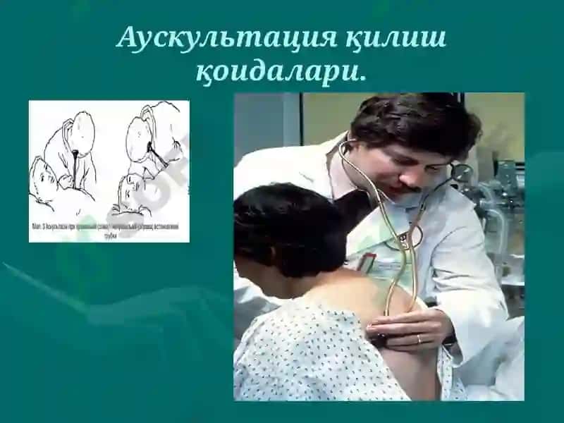 Ўпка аускультацияси 8