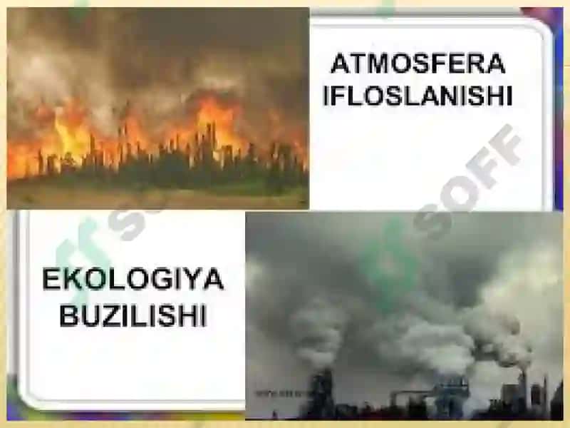 Ishlabchiqarish Changlari Va Zaharli Moddalarning Inson Organizmiga Ta'siri 8