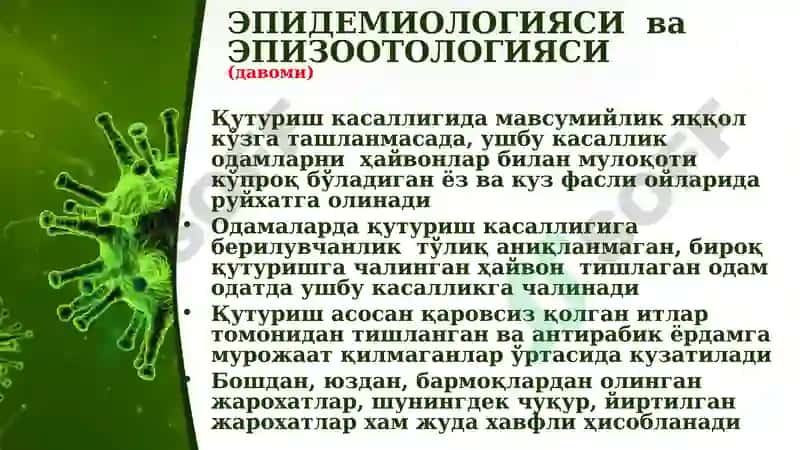 Қутуриш(гидрофобия) 8