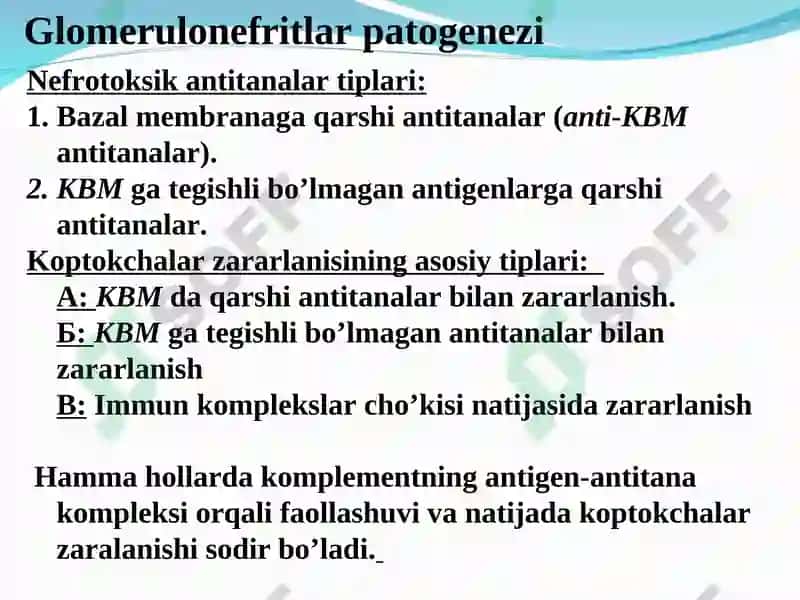 GLOMERULONEFRIT 8
