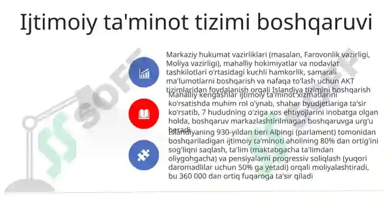 Islandia boshqaruv tizimi va menejment 8