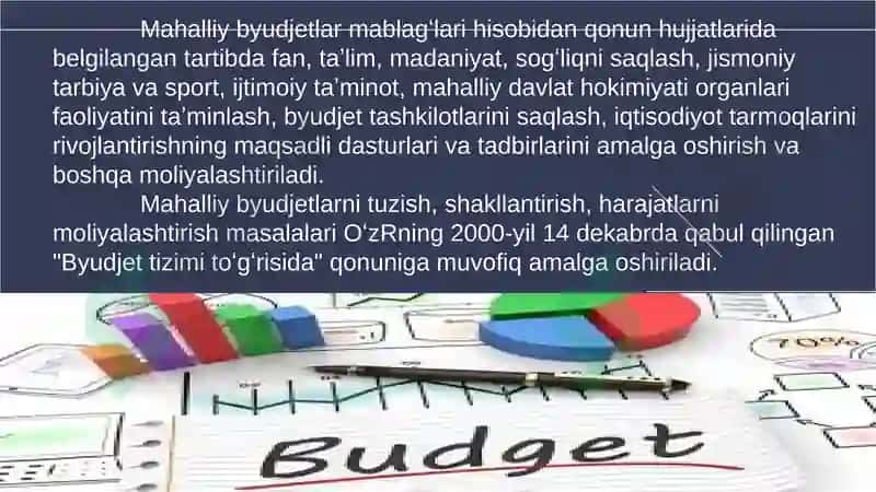 Mahalliy budjetlar mavzusida taqdimot 8
