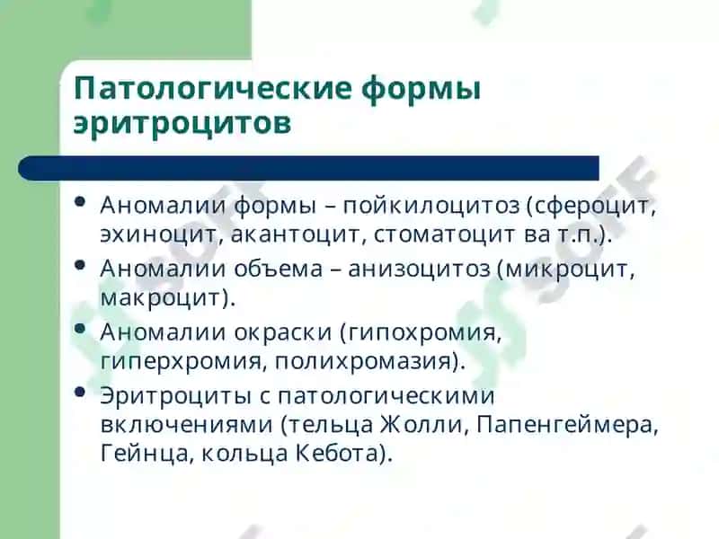 Лекция 13 Патофизиология красной крови 8