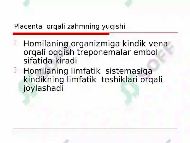 ZAHM 8