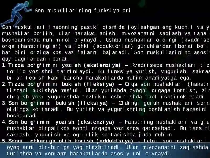 oyoq muskullari 8