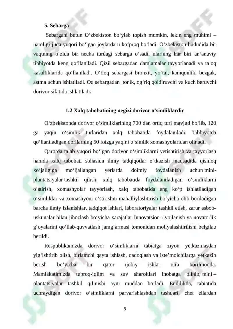 XALQ TABOBATIDA KENG QO’LLANILADIGAN DORIVOR O’SIMLIKLAR VA ULARGA BOTANIK TAFSIF 8