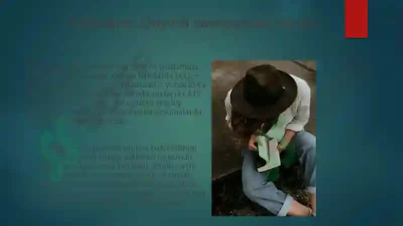 Tam bilishning biokimyoviy asoslari 8