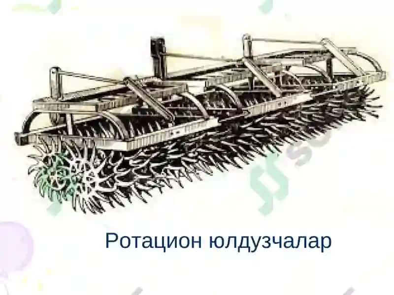 Ғўзани ягона қилиш ва кўчат қалинлиги 8