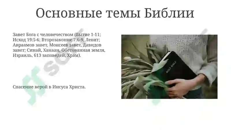 Библия 8