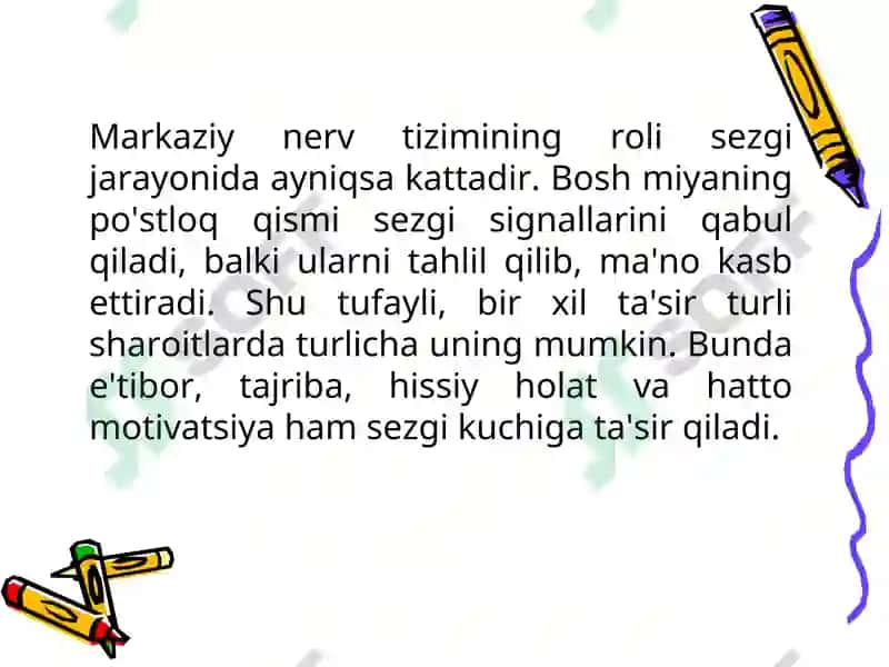 Sezgi 8