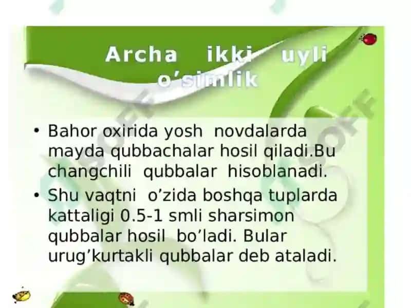Sarvnamolar qabilasi 8