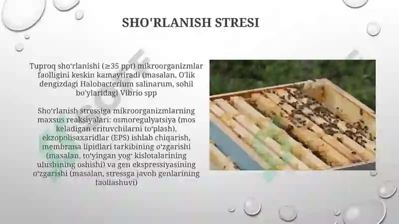 Tashqi muhit omillarining mikroorganizmlarga ta'siri 8