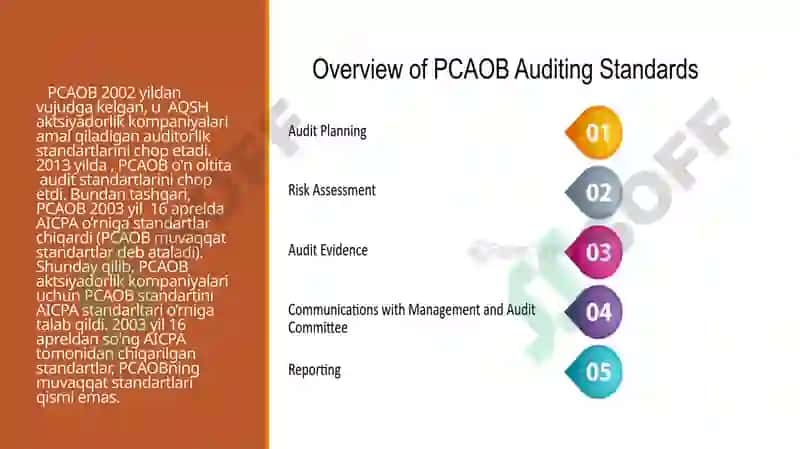 AUDIT STANDARTLARI 8