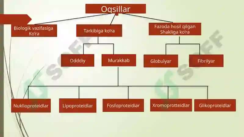 Oqsil tabiatli peptidlar 8