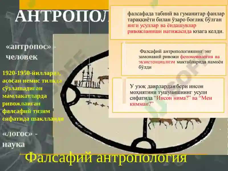 Фалсафий антропология(Инсон фалсафаси) 8