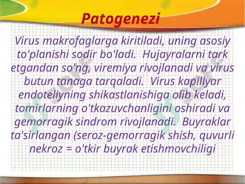 Gemorragik isitma 8