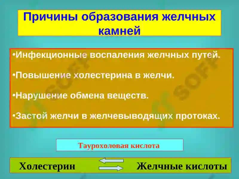Желчнокаменная болезнь. Холециститы, диагностика и лечение 8