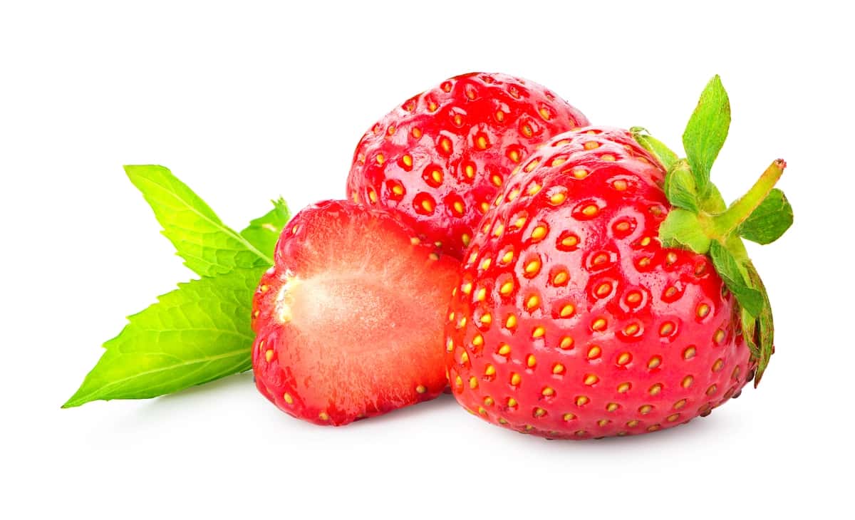 Qulupnay yalpiz izolyatsiya qilingan oq fon | Strawberry mint isolated white background 1
