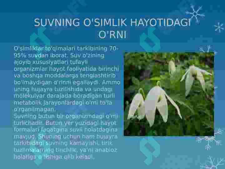 Suvning shimillishi va harakati 2