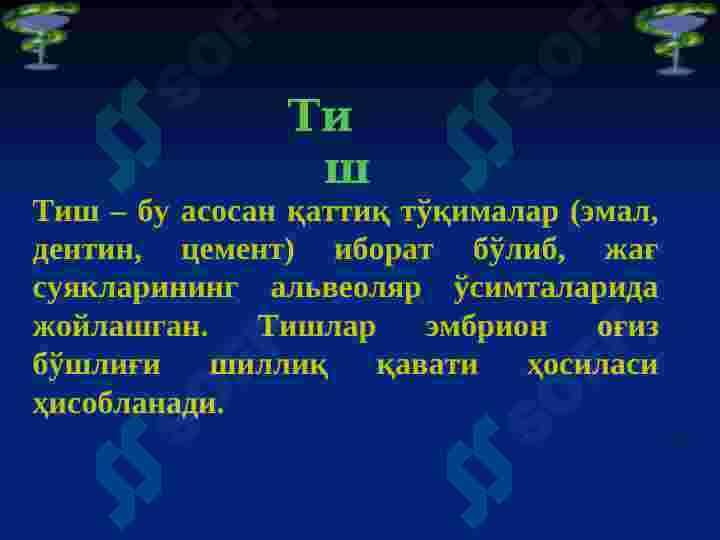 Тиш қаттиқ ва юмшоқ  тўқимаси биокимёси 3